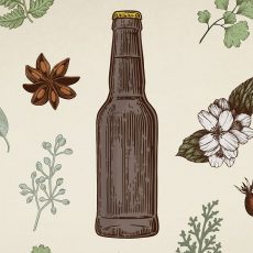 Gruit Ale Nedir?