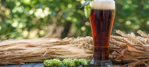 weizenbock