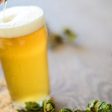 Pilsner Nedir?