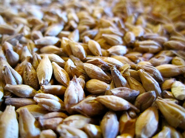 Karemel Malt