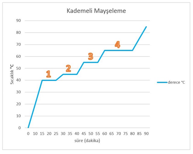 Kademeli Mayşeleme Kademeli Mayşeleme
