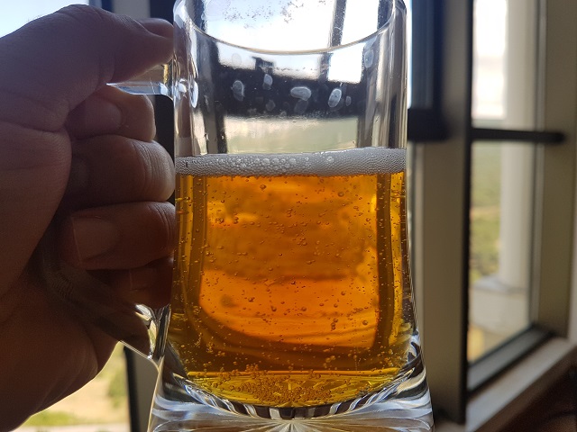 Malt Özü ile Gold Lager