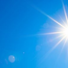Yüksek Sıcaklıkta Bira Yapımı Ve Füzel Alkol