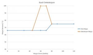 Decoction mash nedir?