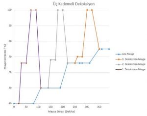 Decoction mash nedir?